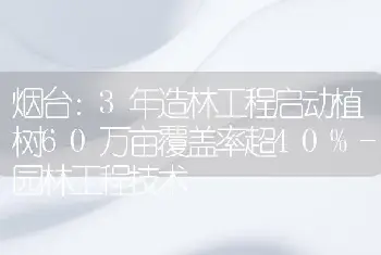 烟台：3年造林工程启动植树60万亩覆盖率超40%-园林工程技术