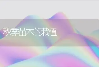 秋季苗木的栽植