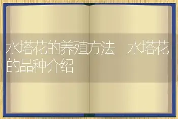 水塔花的养殖方法 水塔花的品种介绍