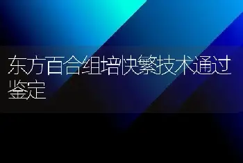 东方百合组培快繁技术通过鉴定