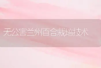 无公害兰州百合栽培技术