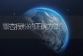 银杏授粉的正确方法