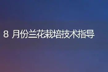 8月份兰花栽培技术指导