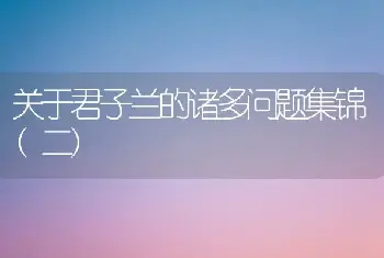 关于君子兰的诸多问题集锦(二)