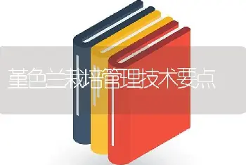 堇色兰栽培管理技术要点