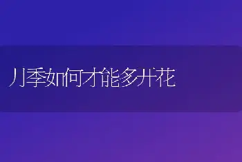 怎样培育叶子短、花梗长的水仙