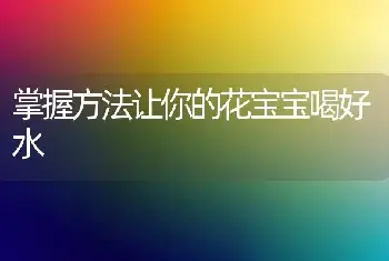 蝴蝶兰的养殖方法 蝶兰养殖方法介绍