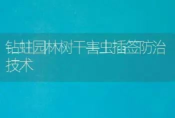 钻蛀园林树干害虫插签防治技术