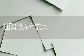 杜鹃莳养六要点