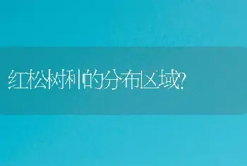 红松树种的分布区域？