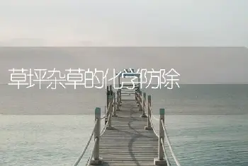 草坪杂草的化学防除