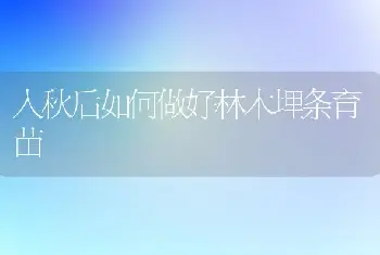 入秋后如何做好林木埋条育苗