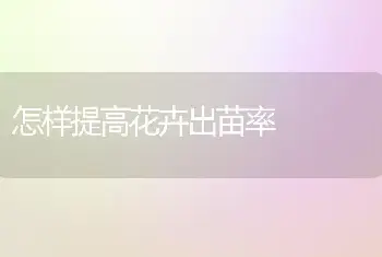 怎样提高花卉出苗率