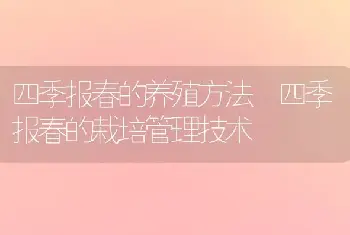 四季报春的养殖方法 四季报春的栽培管理技术