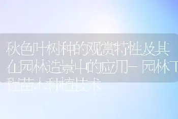 秋色叶树种的观赏特性及其在园林造景中的应用-园林工程苗木种植技术