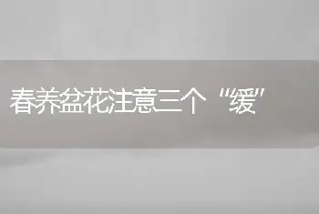 春养盆花注意三个“缓”