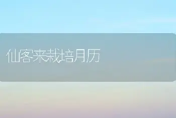 仙客来栽培月历