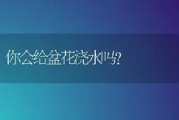 你会给盆花浇水吗?