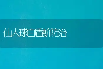 仙人球白盾蚧防治