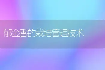 郁金香的栽培管理技术