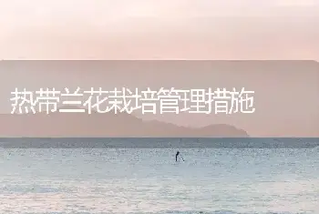 热带兰花栽培管理措施