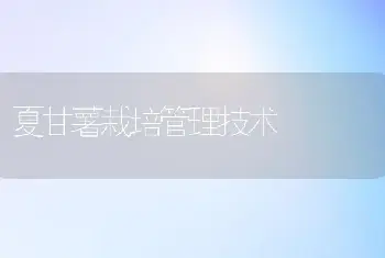 夏甘薯栽培管理技术