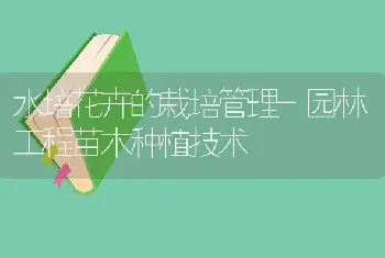 优良的绿化树种南天竹