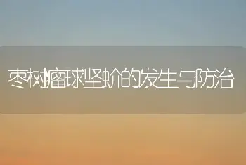 枣树瘤球坚蚧的发生与防治