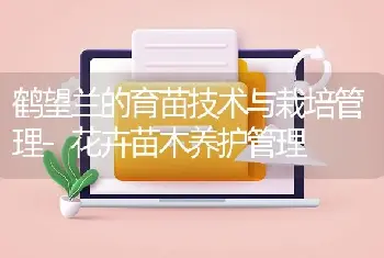 鹤望兰的育苗技术与栽培管理-花卉苗木养护管理