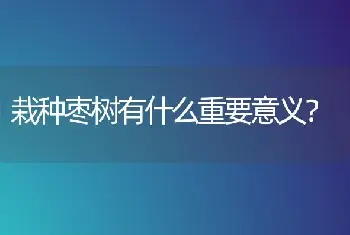 栽种枣树有什么重要意义？