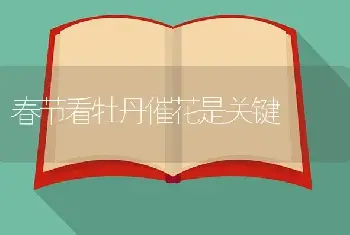 农田灌溉新技术——膜上灌