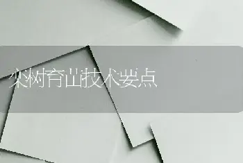 栾树育苗技术要点