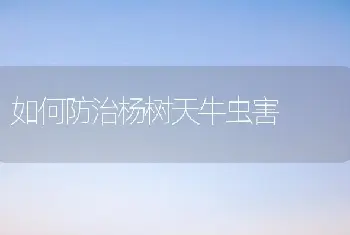 如何防治杨树天牛虫害