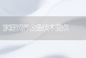 家庭饲养金鱼技术要点