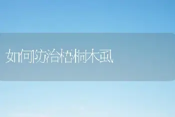 如何防治梧桐木虱