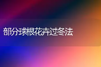 部分球根花卉过冬法