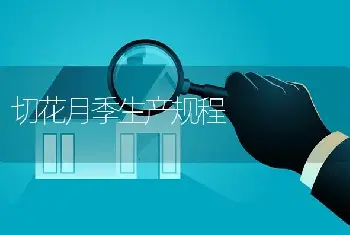 养好水仙满室香