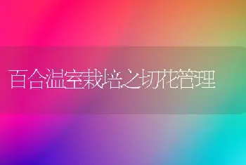 蝴蝶兰栽培关键技术