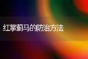 红掌蓟马的防治方法