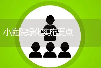 小庭院绿化实施要点