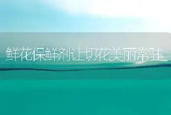 红叶石楠的修剪特性