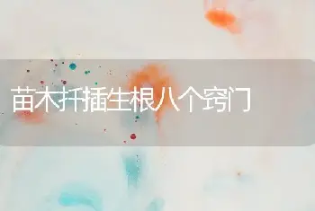 苗木扦插生根八个窍门