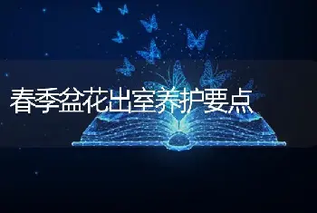 春季盆花出室养护要点