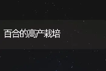 白兰花的栽培及养护