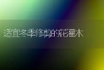 适宜冬季修剪的花灌木