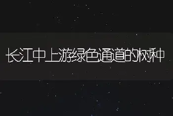 长江中上游绿色通道的树种