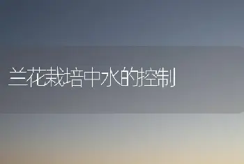 兰花栽培中水的控制