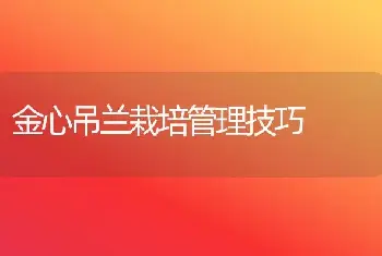 金心吊兰栽培管理技巧