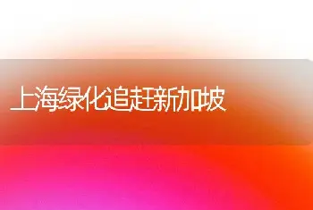 上海绿化追赶新加坡