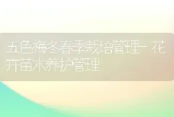 五色梅冬春季栽培管理-花卉苗木养护管理